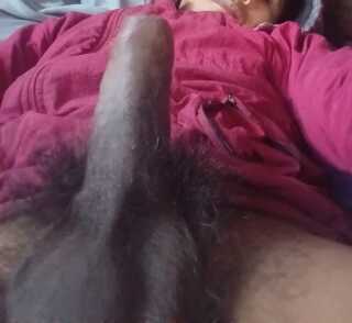 Tu chico gigoló solvente - Lima - Perú